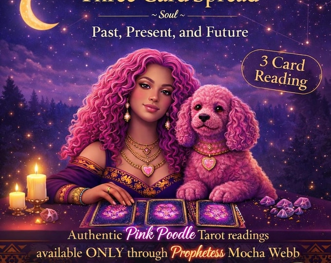 Exclusive! PINK POODLE Tarot: Past Present Future Reading + Custom Music Video with "Spell" Lyrics