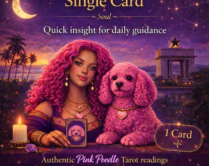 Exclusive! PINK POODLE Tarot: Single Card Psychic Reading + Custom Music Video with "Spell" Lyrics