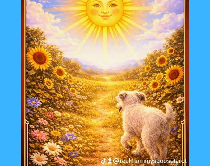 2-Cards, No Questions, Level 1.75 Psychic Reading from The ONLY LMGTRA #LicensedMommysGooseTarotReadingsAmbassador #RevAMMochaSchuepbachWebb