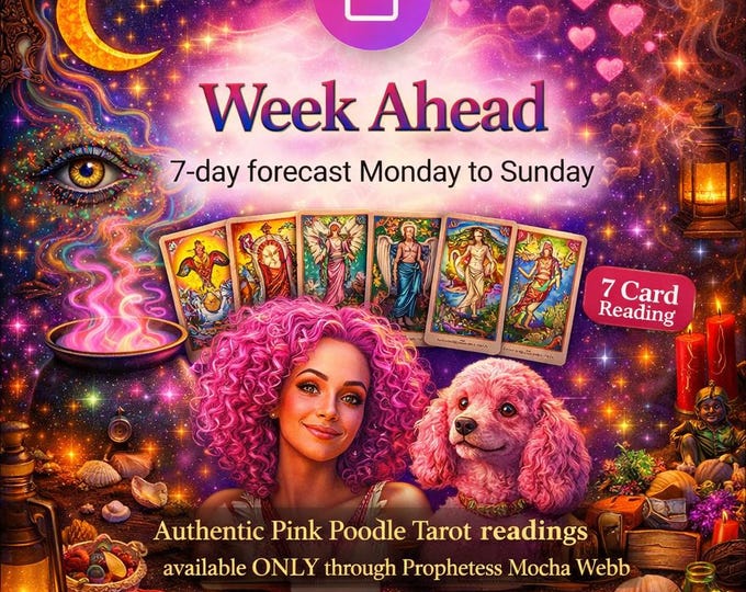 Exclusive! PINK POODLE Tarot: Week Ahead Prediction & AI Music Video w/ "Spell"-inspired Lyrics