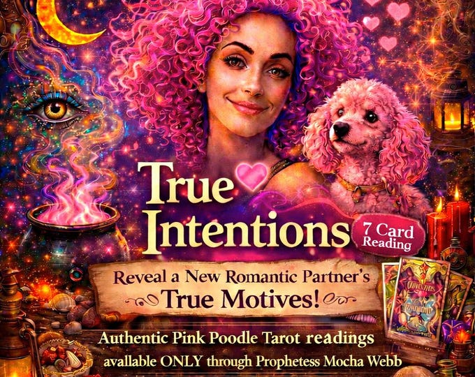 Exclusive! PINK POODLE Tarot: What are his true intentions? Psychic Reading + AI Music Video