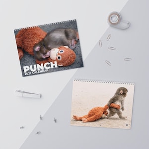 Punch The Monkey Wall Calendars (2027), Japan's Viral Baby Monkey Punch