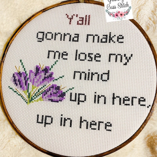 Funny cross stitch lose my mind sassy home decor humorous saying, adult cross stitch dmx