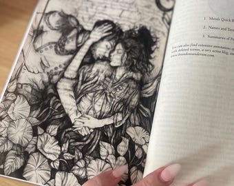 Mistborn Hero of Ages Vellum Book Overlay: Vin and Elend Cosmere Art