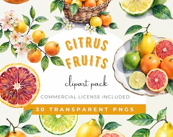 Watercolor Citrus Fruit Clipart, Lemon Orange Lime Grapefruit PNG Illustrations,  Lemonade, Orange Juice, Summer Citrus Scent