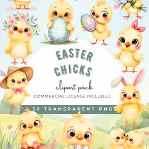 Easter Chick Clipart Bundle: Watercolor Spring PNG Images, Cute Spring Chick Graphics, Egg Illustrations, Instant Download