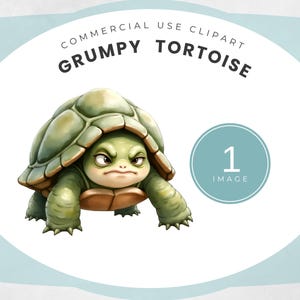 Quirky Grumpy Tortoise Clipart, Cute Turtle Illustration Transparent PNG, Funny Watercolour Turtle Clipart Commercial Use