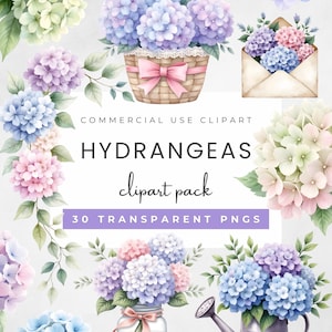 Hydrangeas Clipart Bundle: Spring Floral PNG Images for wedding, Baby Shower (Digital Download)