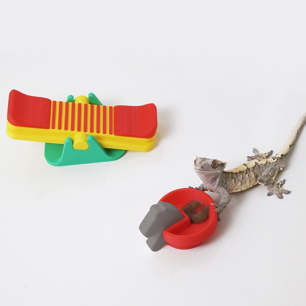 爬虫類 シェルター - Etsy 日本