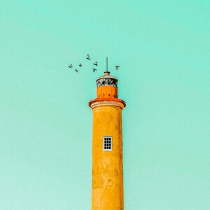 Pu&ograve; includere: Un alto faro cilindrico con un esterno giallo usurato e una sezione superiore arancione brillante. Una singola piccola finestra rettangolare &egrave; visibile sulla torre principale. Uno stormo di uccelli vola vicino alla cima contro un cielo verde menta.