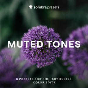 May include: A digital graphic featuring a vibrant purple allium flower head centered against a dark, blurred background. The text reads "sombra presets", "MUTED TONES", and "8 PRESETS FOR RICH BUT SUBTLE COLOR EDITS" in clean white lettering.