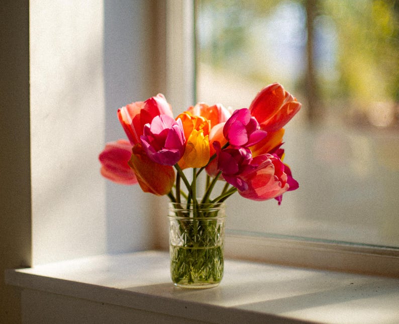 May include: A bouquet of vibrant tulips in shades of pink, orange, and red arranged in a clear, textured glass mason jar. The flowers have green stems visible through the glass, which is filled with water, capturing natural light from a window.