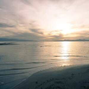 Cinematic Mist Lightroom Presets | 3 Dreamy Soft Glow Filters | Mobile and Desktop XMP | Digital Download image 3