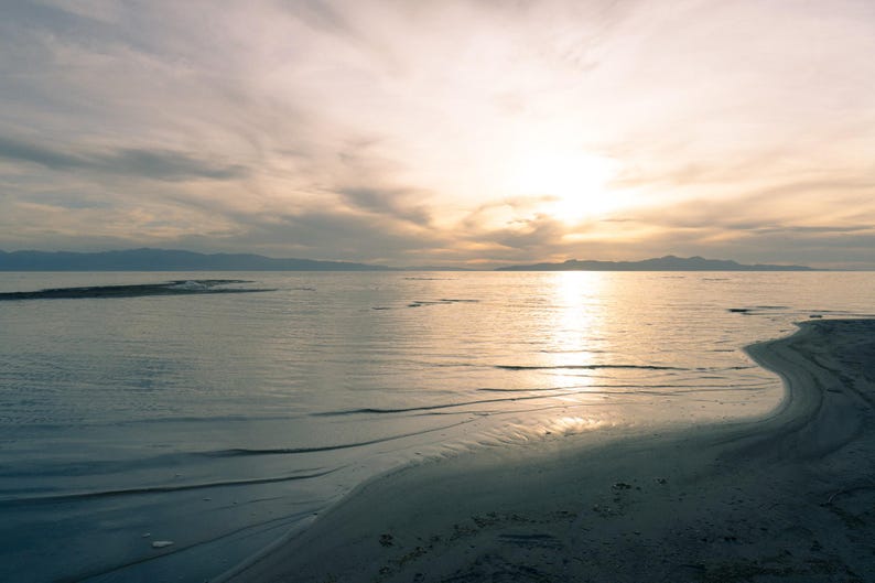 Cinematic Mist Lightroom Presets | 3 Dreamy Soft Glow Filters | Mobile and Desktop XMP | Digital Download image 3