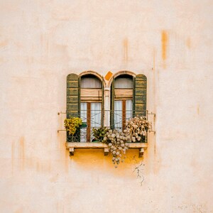 Pu&ograve; includere: Una finestra a doppio arco inserita in una parete in stucco beige chiaro, dotata di persiane in legno verde scuro, tende bianche e una piccola ringhiera in metallo decorata con diverse piante in vaso dal fogliame verde e secco.
