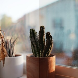 May include: A split-screen comparison showing a wilted plant in a white pot on the left labeled Barro Before, and a vibrant green cactus in a terracotta-colored pot on the right labeled After, positioned against a window with natural light.