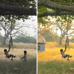 May include: A before and after image of a rural scene. The before image is muted, while the after image is vibrant. Children play on a swing hanging from a large tree. A small house is in the background.