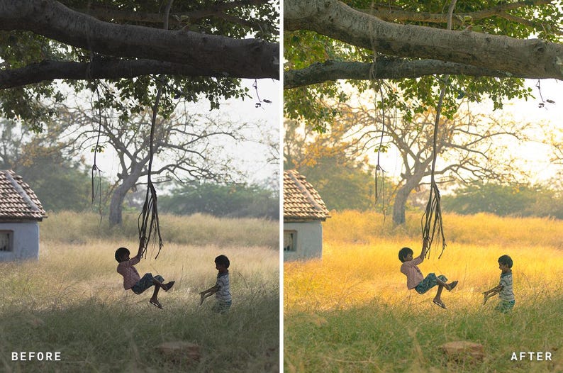 May include: A before and after image of a rural scene. The before image is muted, while the after image is vibrant. Children play on a swing hanging from a large tree. A small house is in the background.
