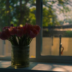 Cinematic Mist Lightroom Presets | 3 Dreamy Soft Glow Filters | Mobile and Desktop XMP | Digital Download image 7