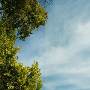 May include: A split-screen comparison labeled Marfil with Before on the left showing green tree leaves against a blue sky and After on the right showing a bright blue sky with light clouds, demonstrating a color correction or photo filter effect.