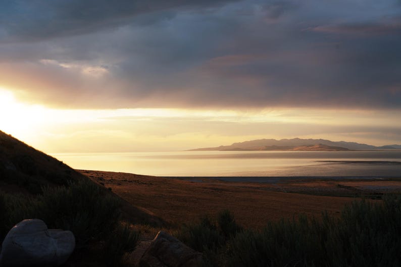 Profili di simulazione pellicola Fujifilm per Lightroom / 12 profili: Provia, Velvia, Acros, Classic Chrome / XMP per dispositivi mobili e desktop immagine 2