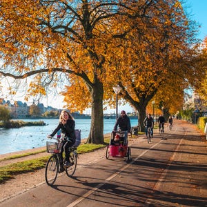 Pu&ograve; includere: Un sentiero asfaltato lungo la riva di un fiume fiancheggiato da grandi alberi con fogliame autunnale arancione e giallo. Diverse persone vanno in bicicletta, inclusa una che traina un rimorchio rosso, mentre un'altra persona cammina.