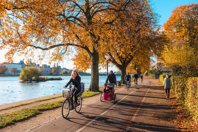 Pu&ograve; includere: Un sentiero asfaltato lungo la riva di un fiume fiancheggiato da grandi alberi con fogliame autunnale arancione e giallo. Diverse persone vanno in bicicletta, inclusa una che traina un rimorchio rosso, mentre un'altra persona cammina.
