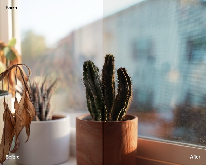 May include: A split-screen comparison image labelled Barro, Before, and After. The left side shows a wilted plant in a white pot. The right side shows a vibrant green cactus in a terracotta-coloured pot positioned near a window.