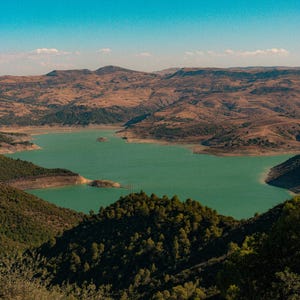 May include: A landscape view featuring a large, vibrant turquoise reservoir nestled between rolling, arid brown hills and mountains under a clear blue sky. The foreground is dominated by dense, dark green coniferous trees and vegetation.