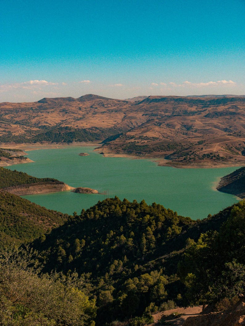May include: A landscape view featuring a large, vibrant turquoise reservoir nestled between rolling, arid brown hills and mountains under a clear blue sky. The foreground is dominated by dense, dark green coniferous trees and vegetation.