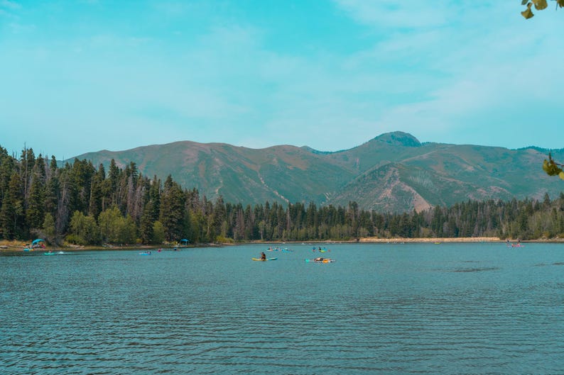 Pu&ograve; includere: Una vista panoramica di un lago calmo con diverse persone su tavole da stand-up paddle. La riva &egrave; fiancheggiata da una fitta foresta di alberi sempreverdi e grandi montagne ondulate si ergono sullo sfondo sotto un cielo azzurro.