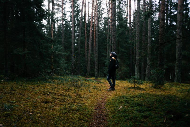 May include: A person wearing a dark jacket, dark trousers, and a dark beanie stands on a narrow dirt path winding through a dense forest. The ground is covered in vibrant green moss, and tall, slender pine trees stretch upward into the dim light.