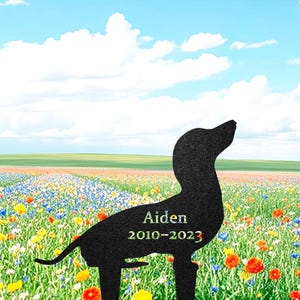 Aangepast adresbord teckel, metalen naamplaatje hond, huisnummerbord buiten, housewarmingcadeau huisdierthema, cadeau hond verlies, teckelliefhebber