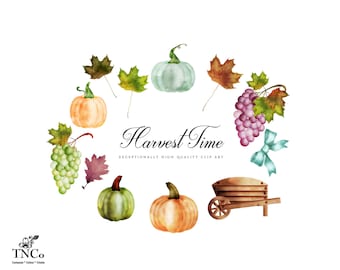 Pumpkin clipart - Harvest clipart - fall clipart - Autumn clipart - Commercial use clipart - Grapevine clipart - watercolor clipart - TNCo