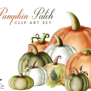 Pumpa Clipart - Skörde Clipart - Akvarellpumpor - Akvarell Clip Art - Halloweenpumpor - Halloween Clip Art - Kommersiellt bruk bild 3
