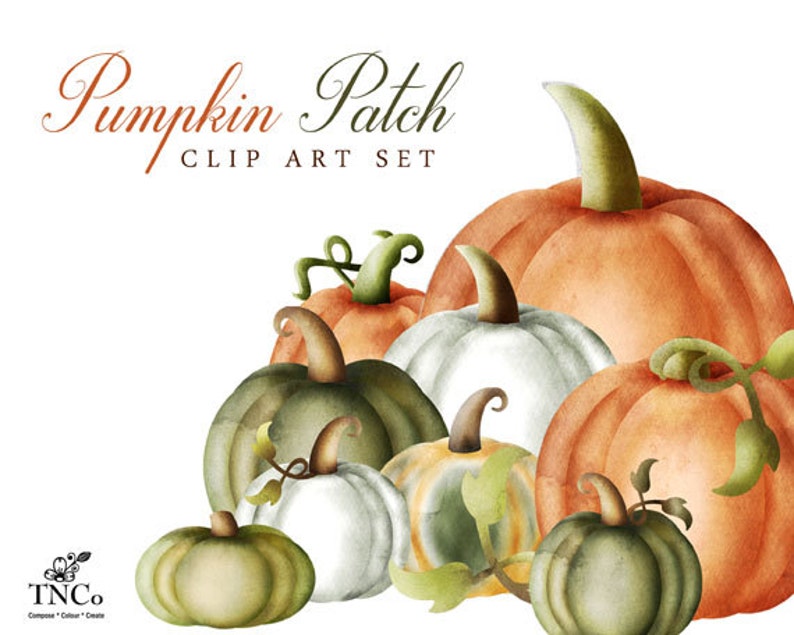 Pumpa Clipart - Skörde Clipart - Akvarellpumpor - Akvarell Clip Art - Halloweenpumpor - Halloween Clip Art - Kommersiellt bruk bild 3