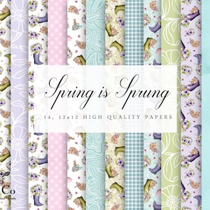 May include: A set of 14 digital papers featuring a spring theme with floral patterns, gingham, paisley, and bunnies. The papers are 12x12 inches and are high quality.