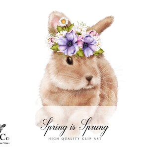 May include: A brown bunny wearing a flower crown with purple and pink flowers. The text "Spring is Sprung" is below the bunny. High quality clip art.