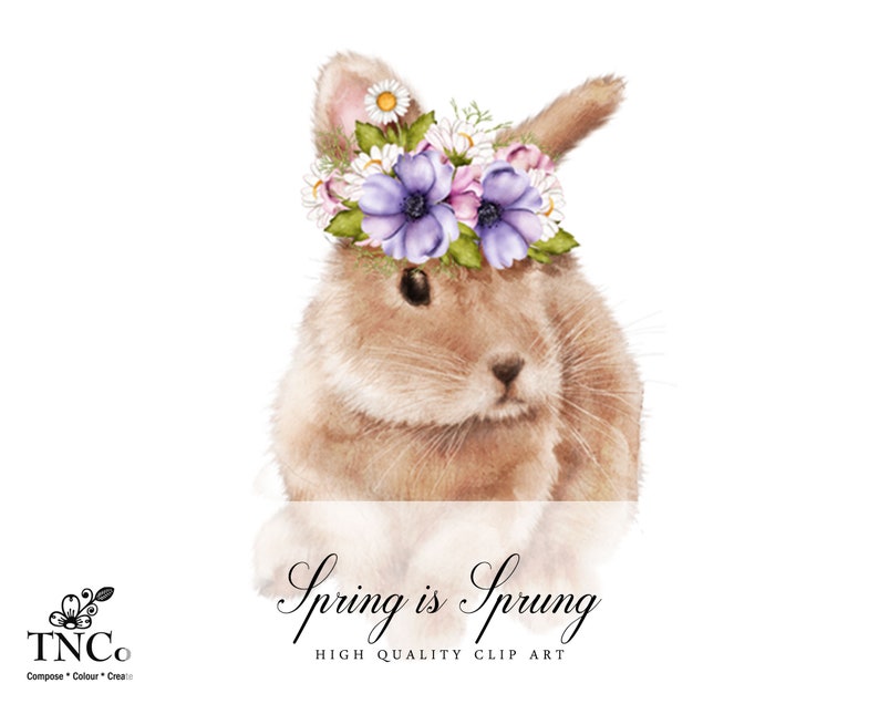 May include: A brown bunny wearing a flower crown with purple and pink flowers. The text "Spring is Sprung" is below the bunny. High quality clip art.