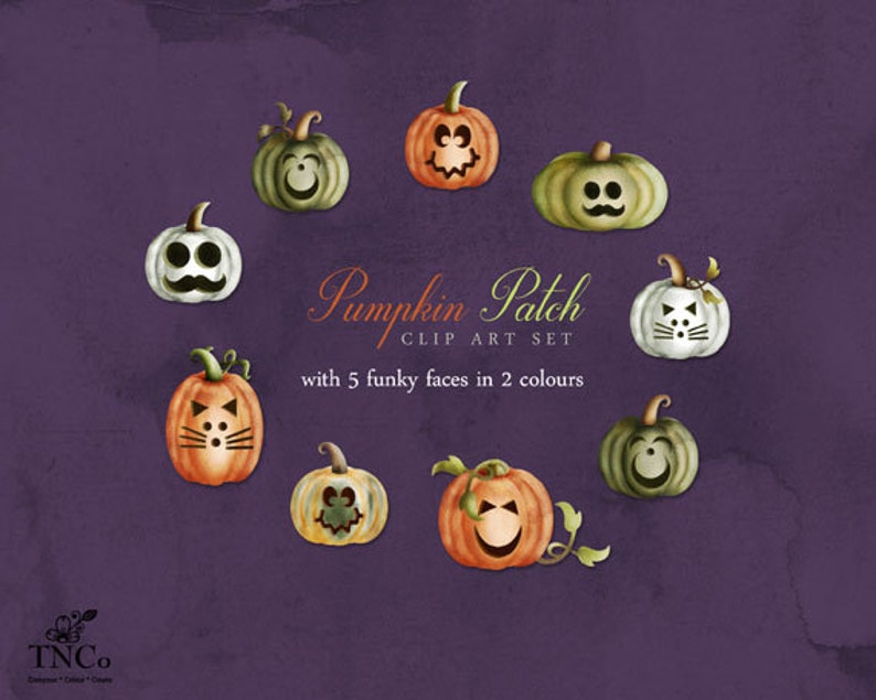 Pumpa Clipart - Skörde Clipart - Akvarellpumpor - Akvarell Clip Art - Halloweenpumpor - Halloween Clip Art - Kommersiellt bruk bild 4