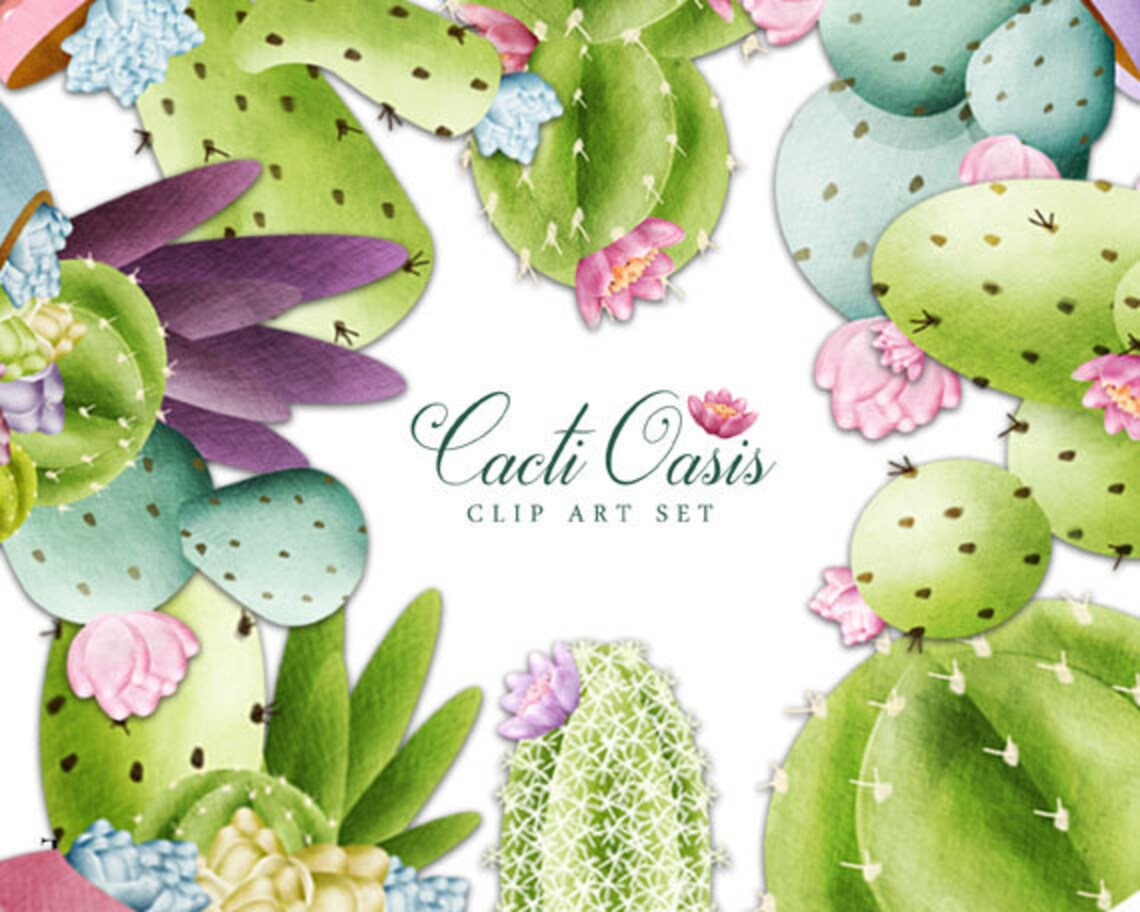 Cactus Clip Art Succulents Clipart Watercolour Flowers - Etsy UK