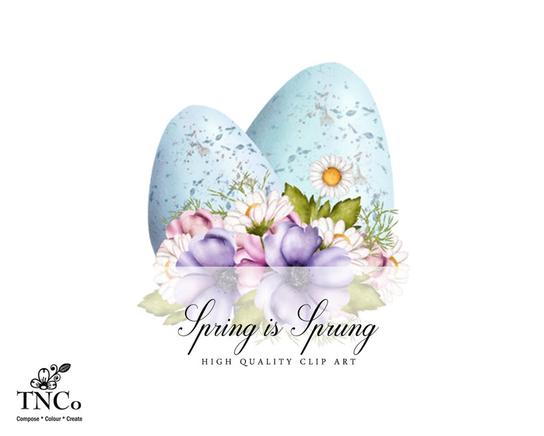 May include: Two light blue speckled Easter eggs with white daisies and purple and pink flowers. The text "Spring is Sprung" is below the eggs. High Quality Clip Art.