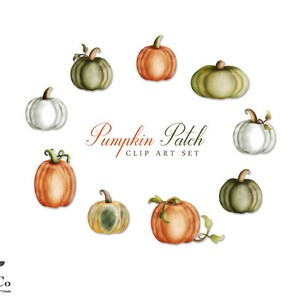 Pumpa Clipart - Skörde Clipart - Akvarellpumpor - Akvarell Clip Art - Halloweenpumpor - Halloween Clip Art - Kommersiellt bruk bild 2