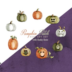Pumpa Clipart - Skörde Clipart - Akvarellpumpor - Akvarell Clip Art - Halloweenpumpor - Halloween Clip Art - Kommersiellt bruk bild 1