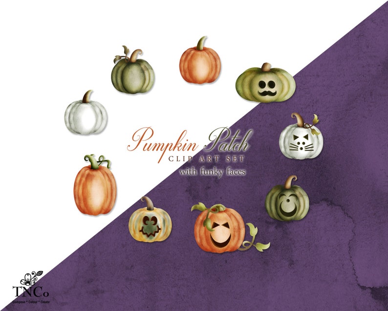 Pumpa Clipart - Skörde Clipart - Akvarellpumpor - Akvarell Clip Art - Halloweenpumpor - Halloween Clip Art - Kommersiellt bruk bild 1