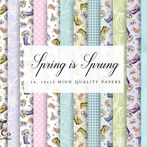 May include: A set of 14 digital papers featuring a spring theme with floral patterns, gingham, paisley, and bunnies. The papers are 12x12 inches and are high quality.