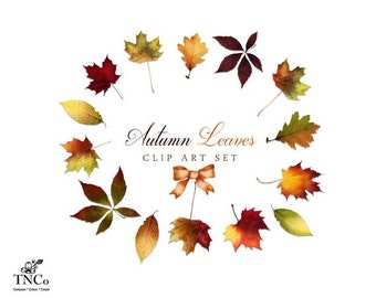 Autumn Clipart - Leaf Clip art - Nature Art - Fall Clipart - Commercial use digital clip art - Seasonal clipart - Fall Leaves clip art