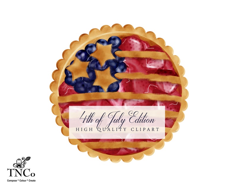 Clipart del día de la independencia - Clipart del 4 de julio - Firework Clipart - BBQ Clipart - Gráficos de uso comercial - America Clipart - Chevy art - TNCo imagen 5