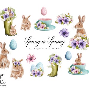 May include: A set of digital clip art featuring watercolor illustrations of bunnies, flowers, eggs, teacups, and boots. The text "Spring is Sprung" is written in a cursive font. High Quality Clip Art.