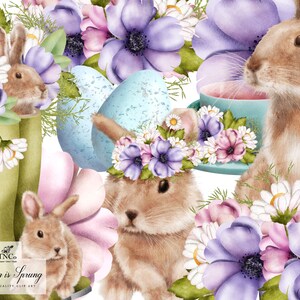 May include: A digital illustration of three brown bunnies with floral wreaths and pastel blue eggs. The bunnies are surrounded by purple, pink, and white flowers. The text "Spring is Sprung" is at the bottom of the image.